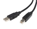 USB A to USB B cable 6ft